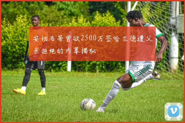 安切洛蒂曾欲2500万签哈兰德遭父亲拒绝的内幕揭秘